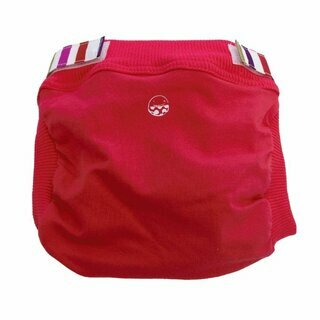 Petit Pea hybrid diaper