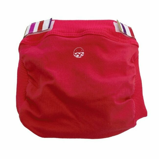 Petit Pea hybrid diaper