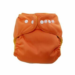 Sweet Lili 2012 cloth diaper