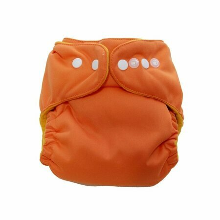 Sweet Lili 2012 cloth diaper